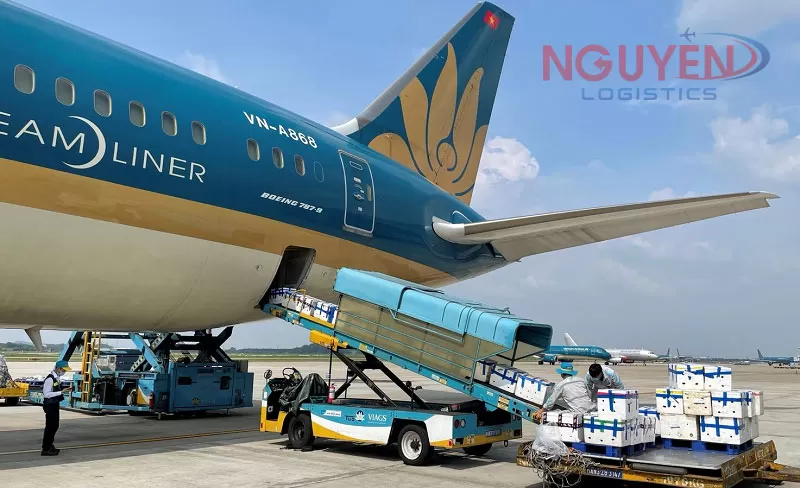 Dịch vụ vận chuyển hàng hóa bằng đường hàng không đi trong nước